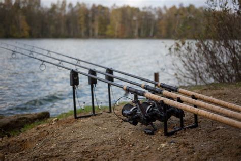Comprehensive Guide to Carp Fishing Rigs and Setups for Beginners