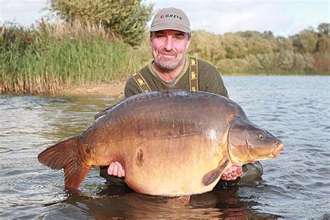 Discover the Various Carp Species in the UK