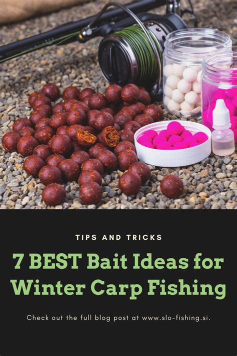 Essential Winter Carp Fishing Tips: Maximizing Your Catch