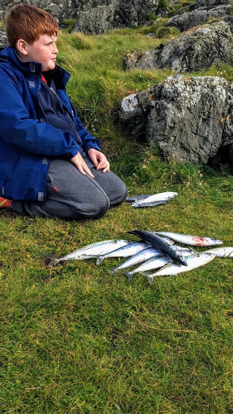 Explore the Best Sea Fishing Baits and Tackle for Your Next Adventure