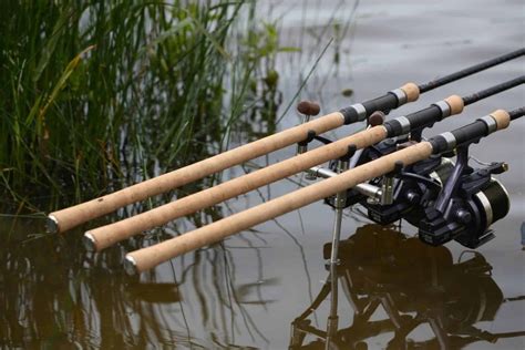Exploring the Best Carp Rods of 2023: A Comprehensive Guide