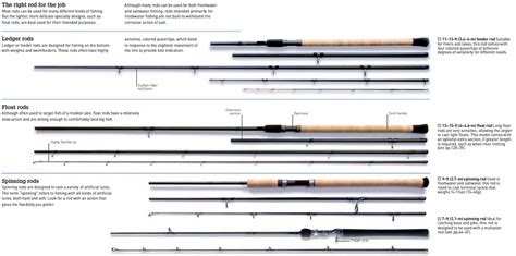 Exploring the Best Fishing Rods for Various Angling Styles in 2023