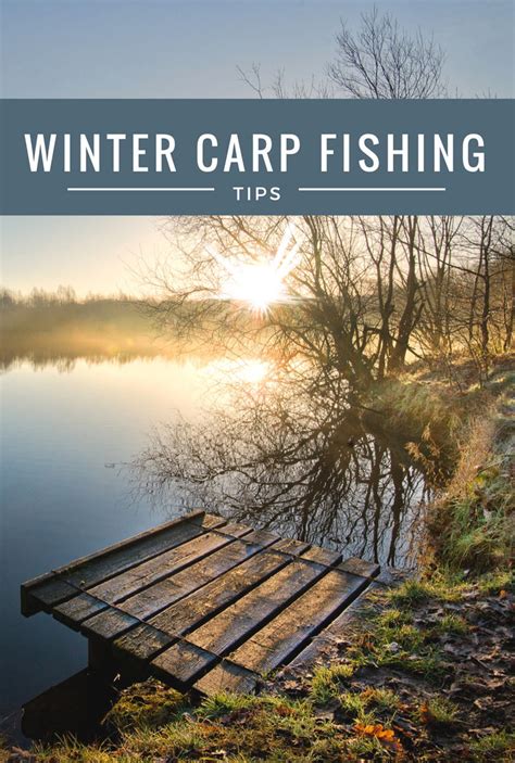 How Can You Successfully Catch Carp in Winter?