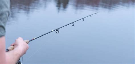 Best Fishing Rods for Beginners