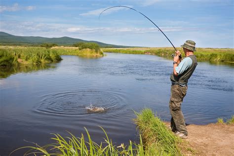 Comprehensive Guide to Fishing Tackle Shops and Local Fishing Spots in the UK