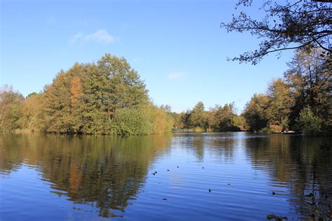Discover the Best Fishing Lakes and Spots in the UK