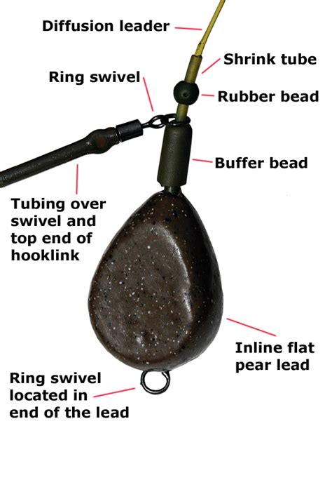 Effective Winter Carp Fishing Rigs and Techniques