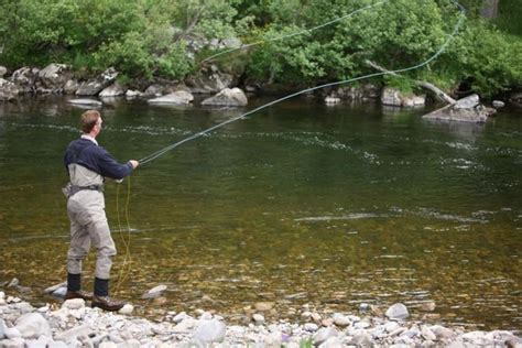 Expert Tips for Successful River Fishing: A Comprehensive Guide