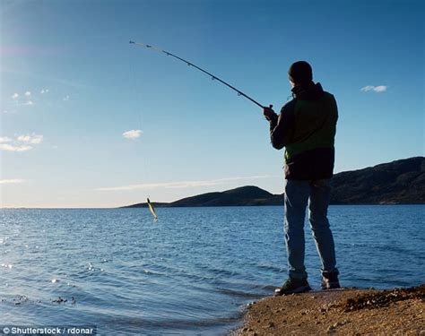 Explore Top UK Fishing Tackle Deals & Expert Tips Online