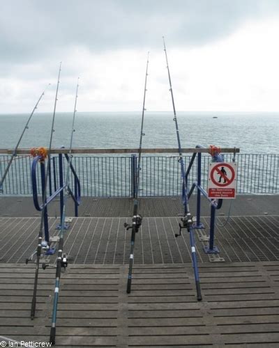 Exploring the Best Sea Fishing Rods in 2023: A Comprehensive Guide