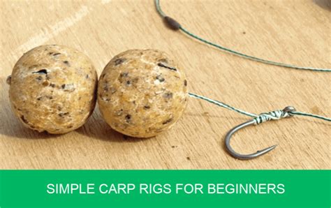 Top Carp Rigs for Beginners: Easy-to-Follow Guide with Visuals (2023)
